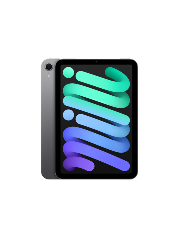 iPad mini
